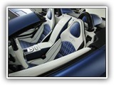 SLR10